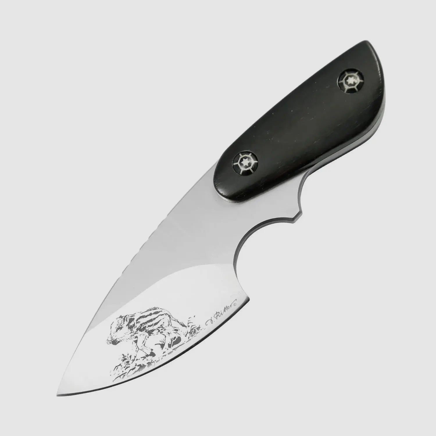 PUMA IP sanglier, ébène, couteau de cou