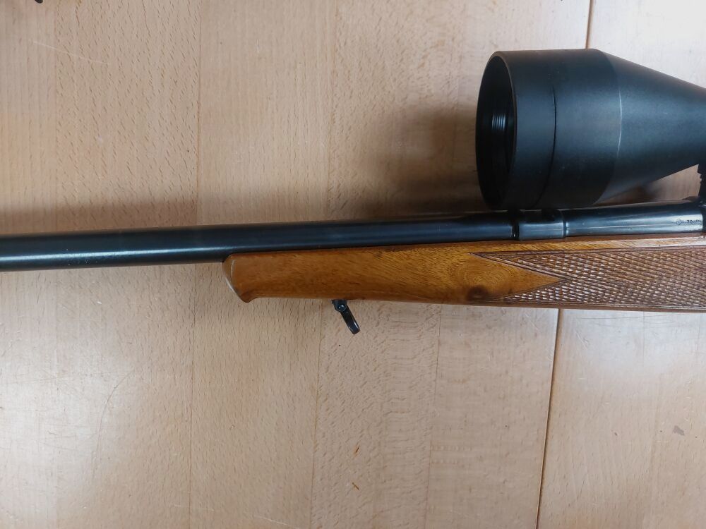 Anschütz , Ulm 1517 ST