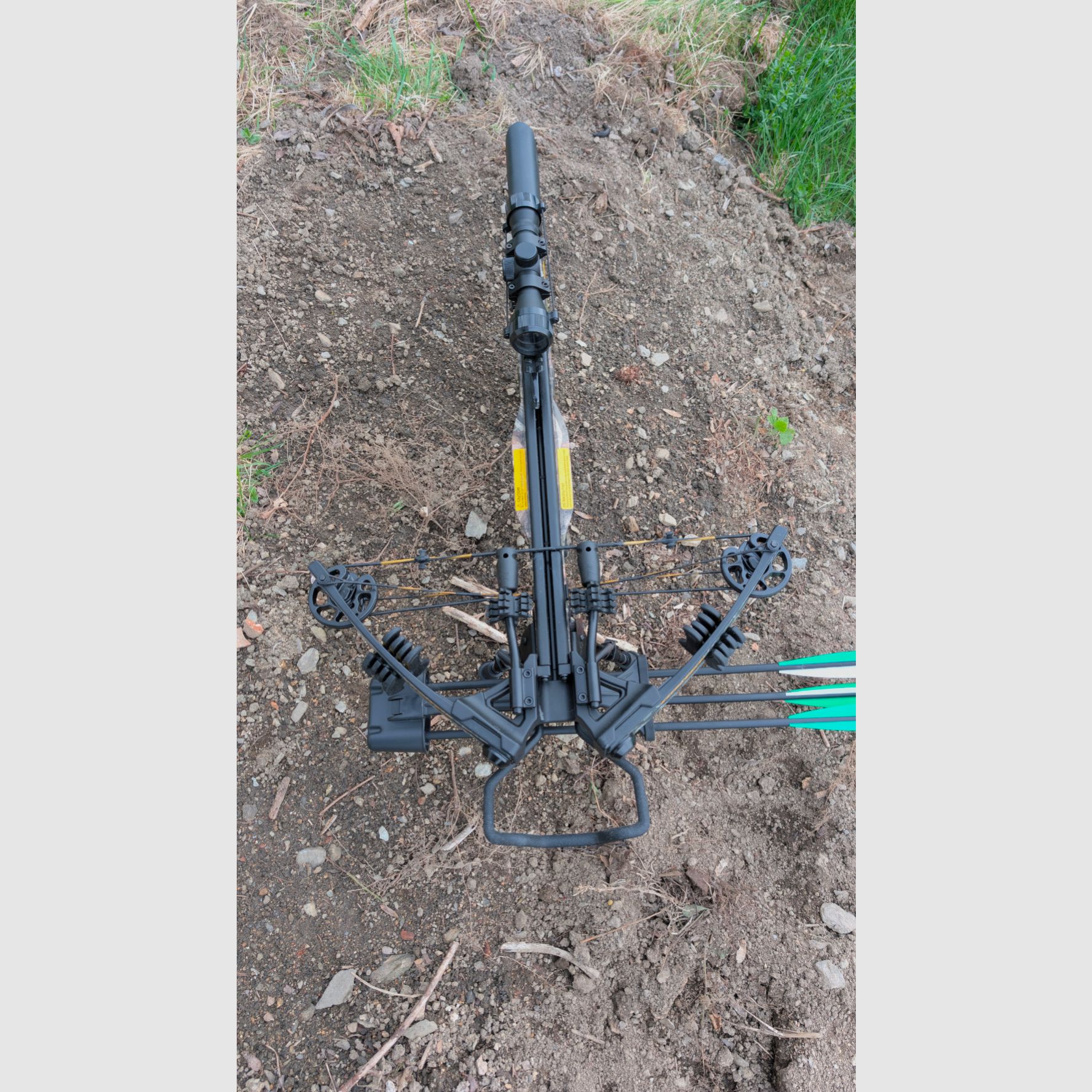 Lame d'arbalète EK Compound 175 lbs camo