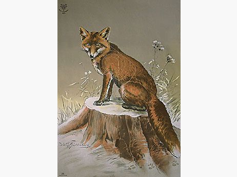 DJV Schießscheiben-Jagd Scheibe #3 Fuchs 100m