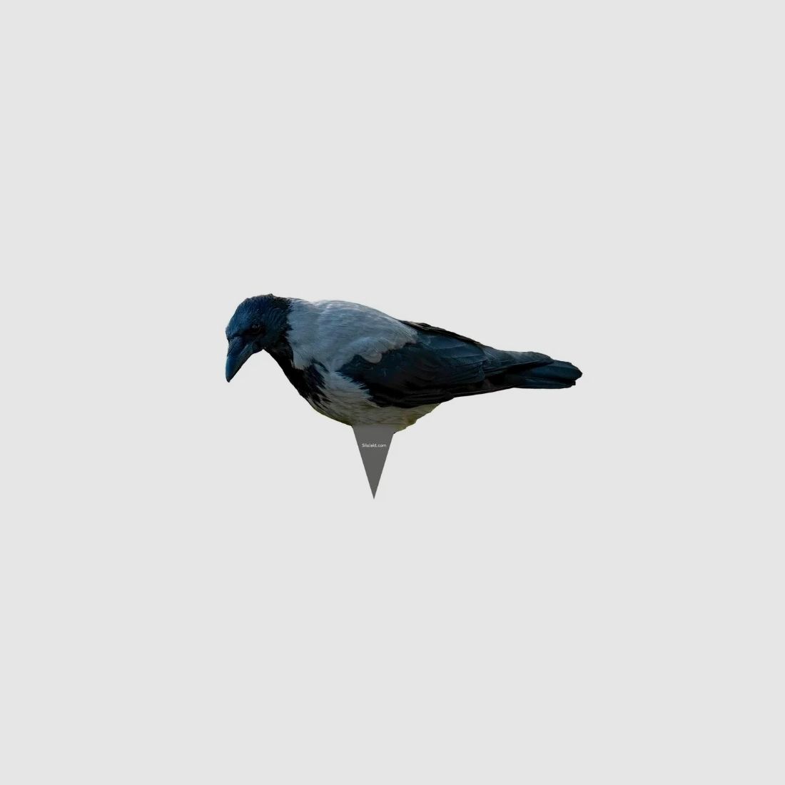 Silhouetten-Vogelfigur Krähe, 6er-Pack – Lockvogel