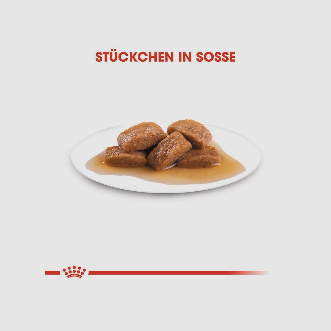 ROYAL CANIN Große Hunde Nassfutter Maxi Adult 10x140 g