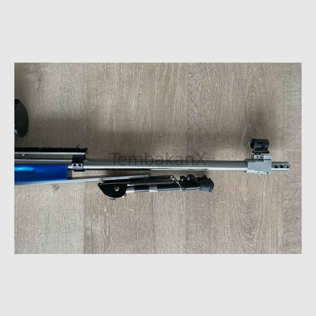 Steyr Arms Modified .308Win