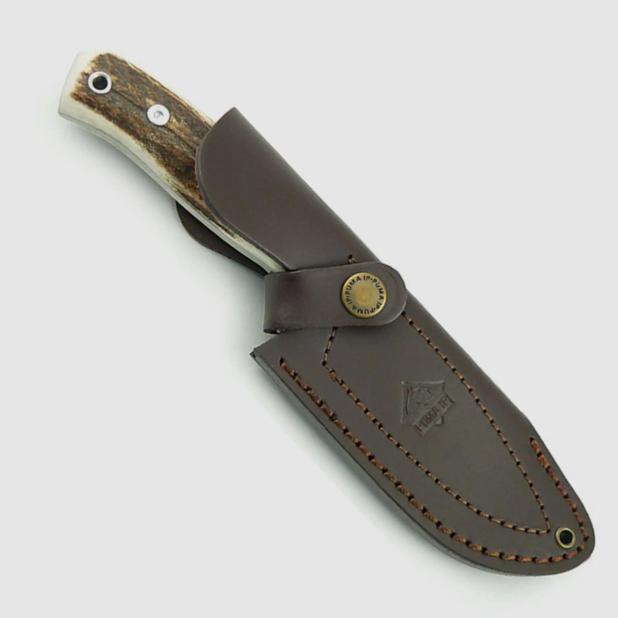 PUMA IP cervato, cerf