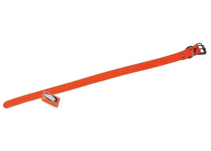 Halsband für Hunde aus Biothane Biogold, Bild 2 von 10