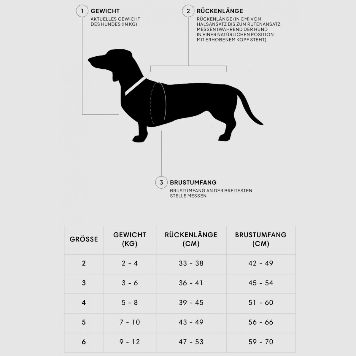 Hundemantel Dackel Brooklyn Tweed, Bild 12 von 12