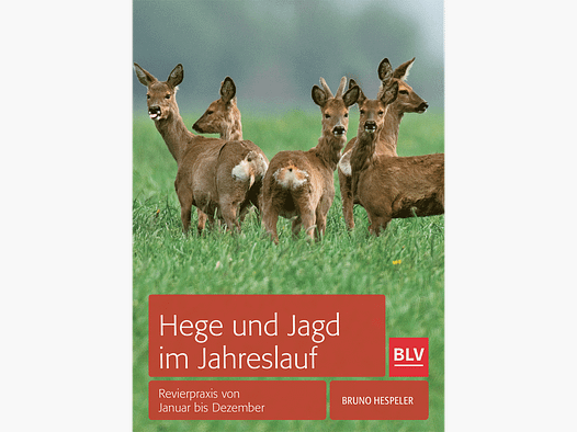 Libro "Gestión de la fauna y caza a lo largo del año"