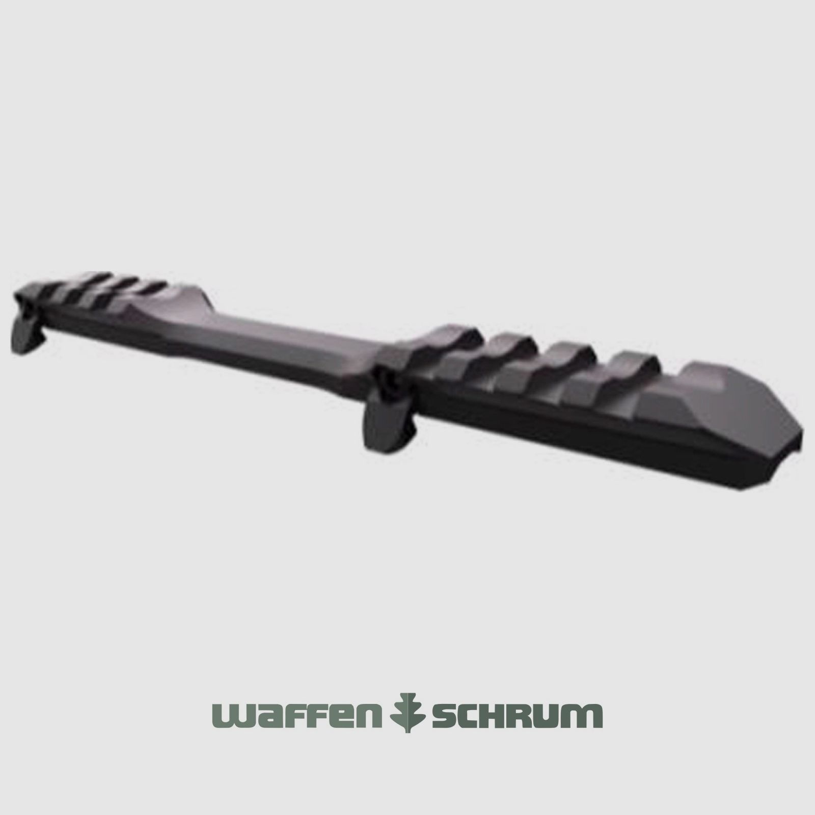 Steyr Picatinny rail Steyr Monobloc