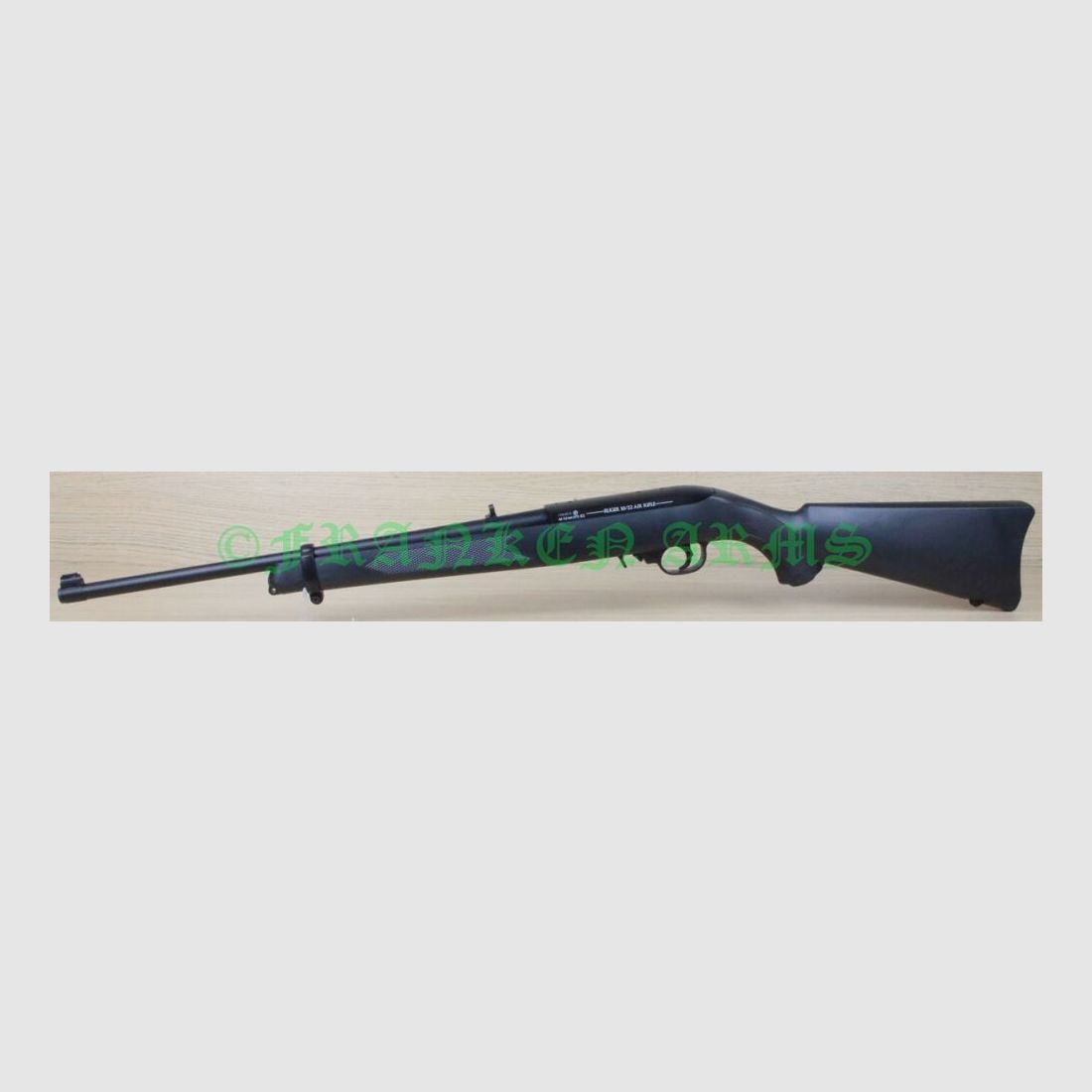Ruger 10/22 Air Rifle