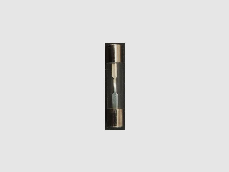 Tokyo Marui Ersatzsicherung/Glassicherung/Fuse für AEP-MPs