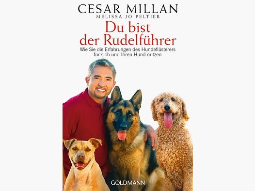 Du bist der Rudelfhrer Wie Sie die Erfahrungen des Hundeflsterers fr sich und Ihren Hund nutzen