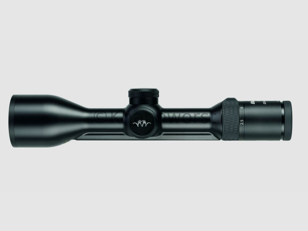 Blaser weapons Blaser B2 2.5-15x56 iC S