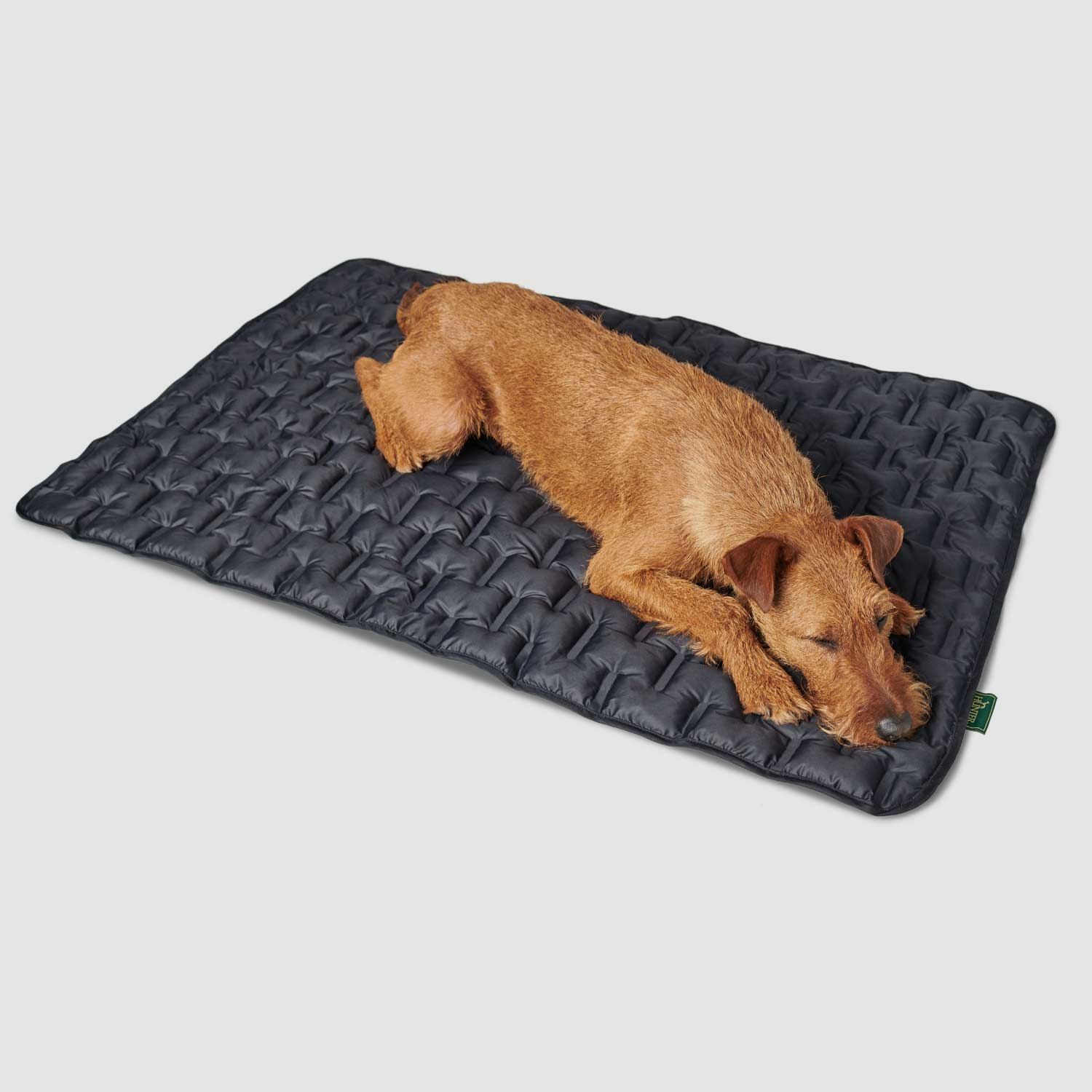 Hunter Koc dla psa Monaco