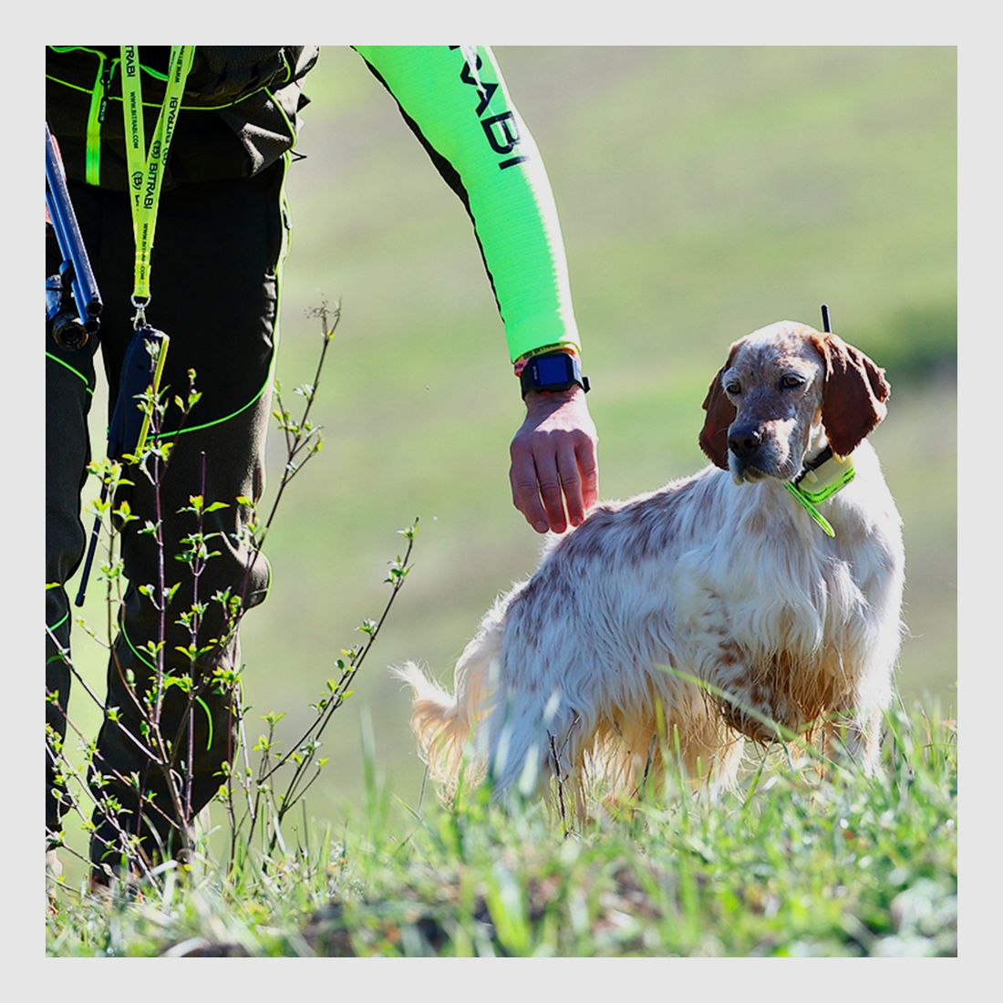 Collar Radio + GPS para perros de caza MITO 5100 BITRABI, imagen 7 de 7
