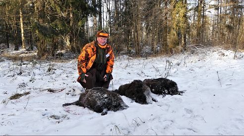 Schnelle Sauen im Schnee - Drückjagd in Masuren Teil 2