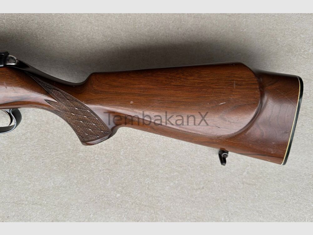 Anschütz Mod. 1516 .22WinMag