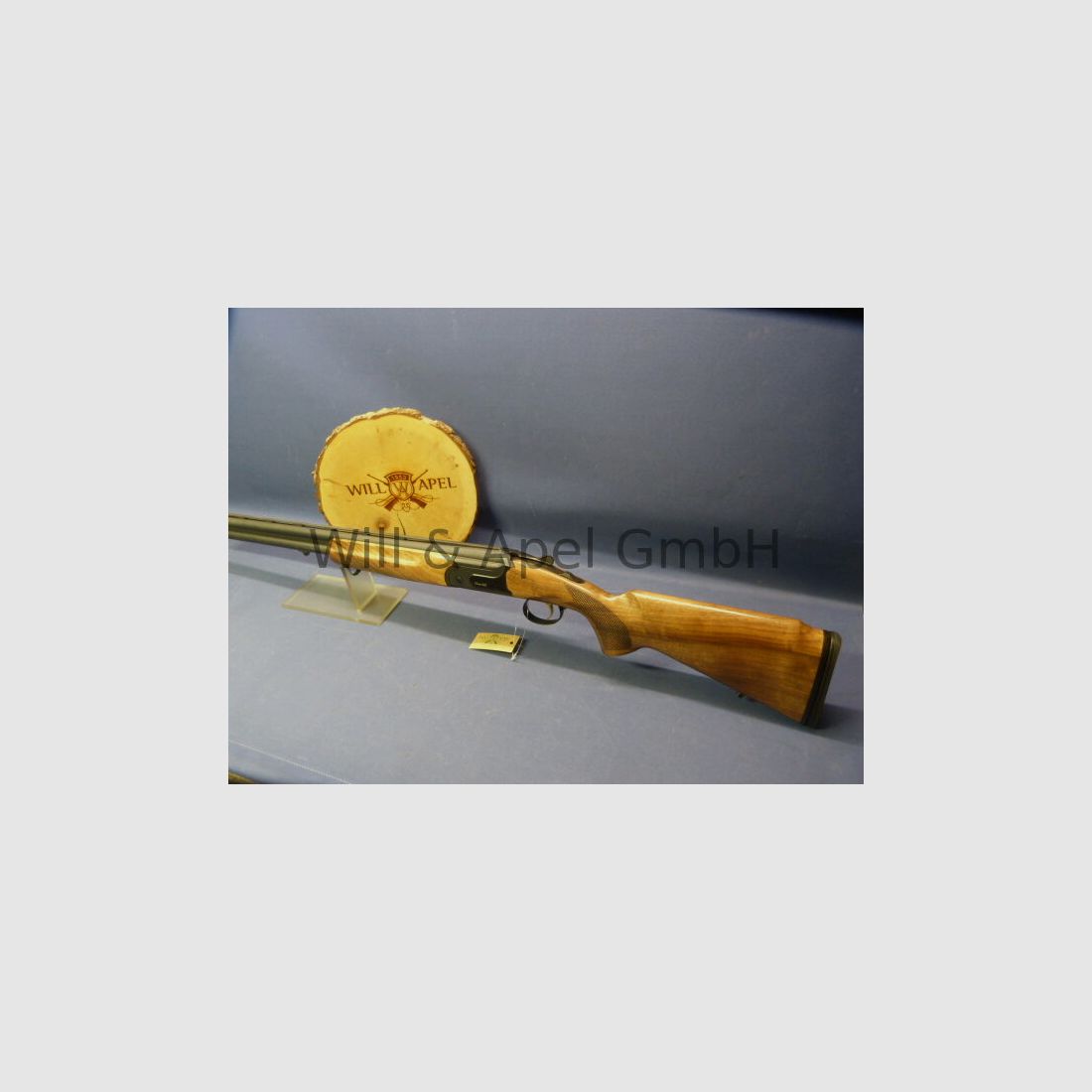 Akkar Churchill Lady Black