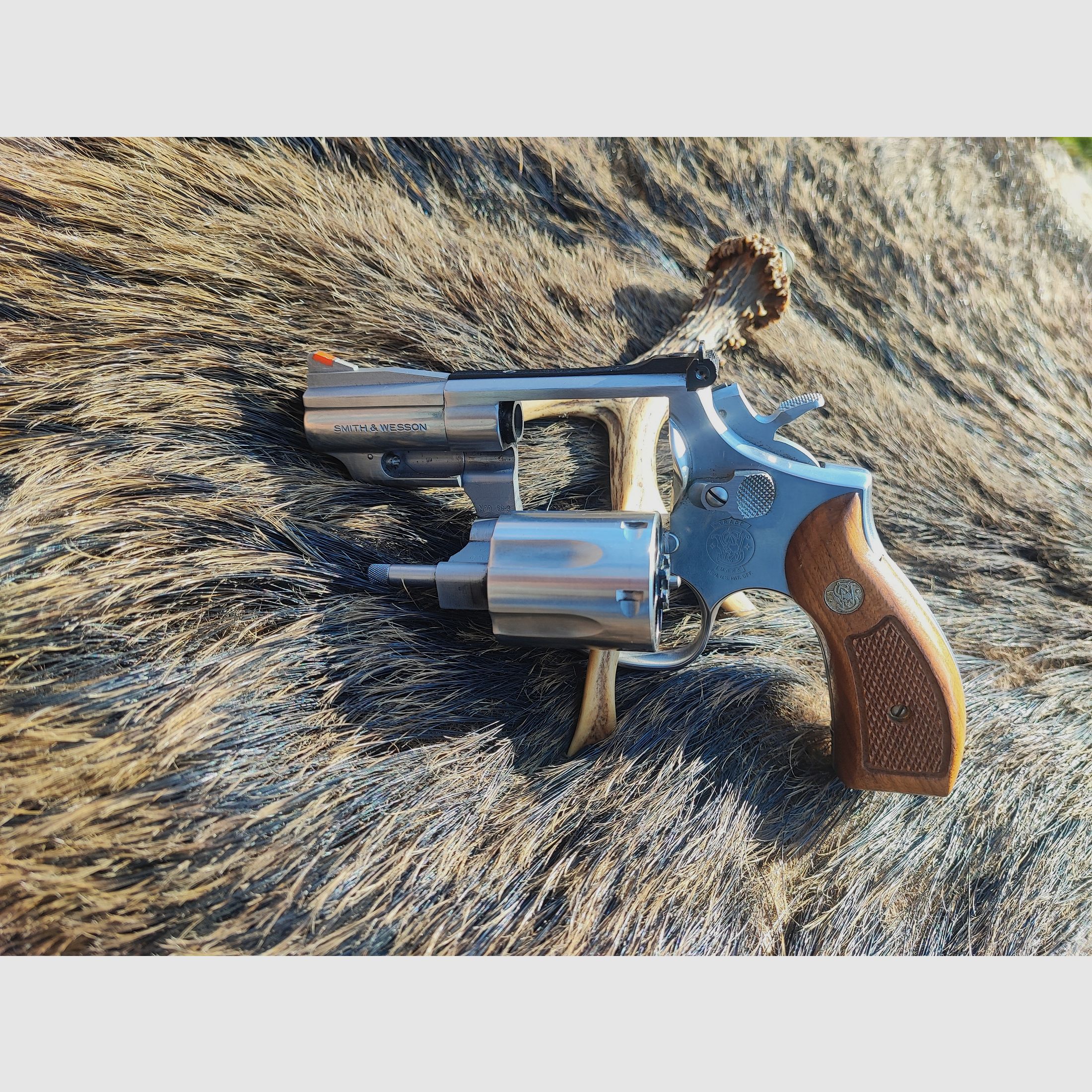 Smith & Wesson 686