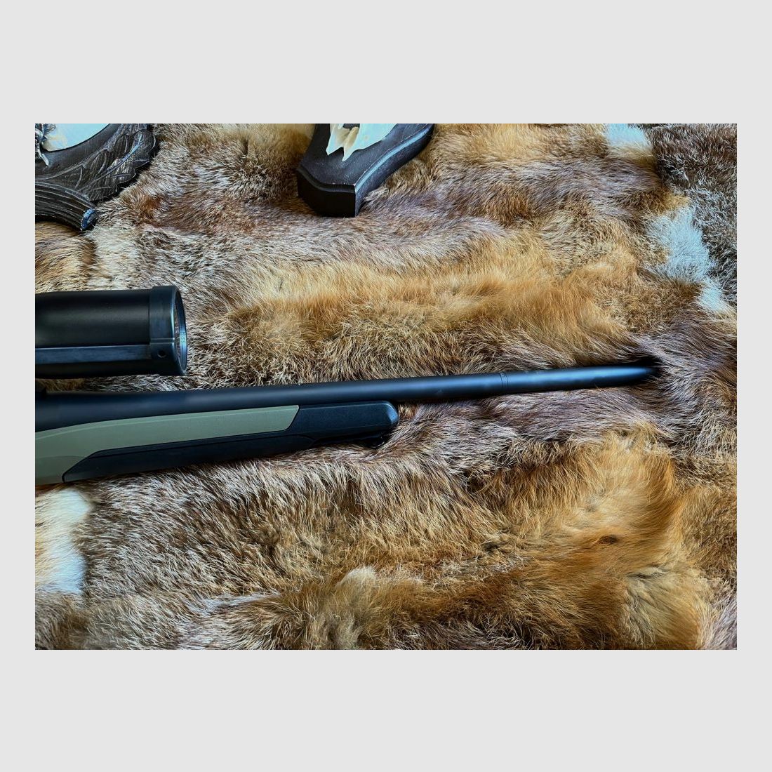 Steyr MS Wild