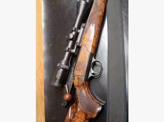 R93 Luxus  30-06 & .222 mit Swarovsky Gläsern
