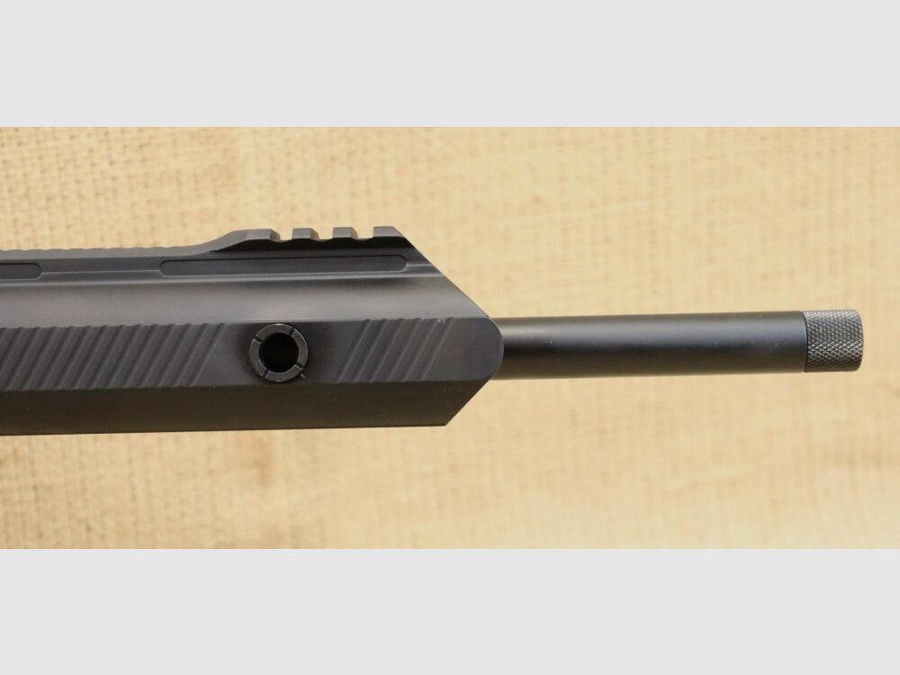 Fusil semi-automatique, Schmeisser AR15 Sport - y compris le chargeur de rechange .22lr