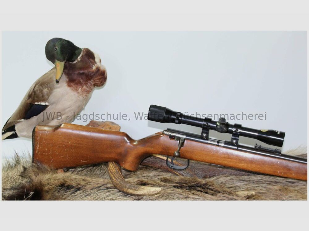 Anschütz 1415 .22lr