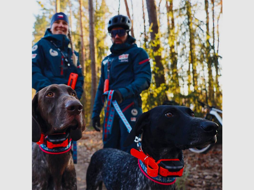 DOG TRACE – GPS X40 | ADDITIONAL COLLAR, image 12 of 12