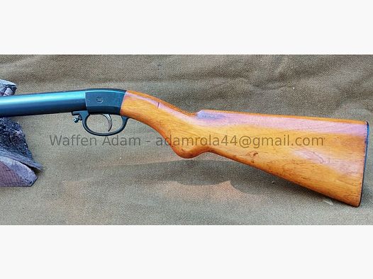 Diana Veterans LG, 30 years model 27