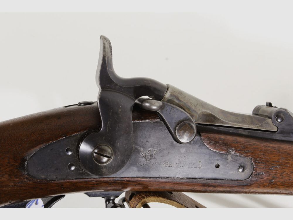 Springfield Mod.1884 Experimental Ramrod Bayonet Rifle Article 16549, image 3 of 6