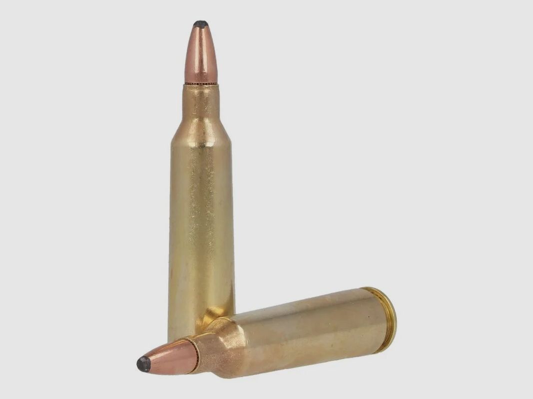 Remington High Performance .22-250 Rem. 55GR PSP 20 Patronen