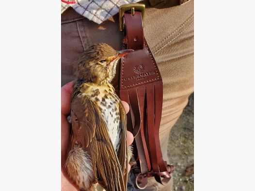 Federwildgalgen  / Ostermayer Jagd