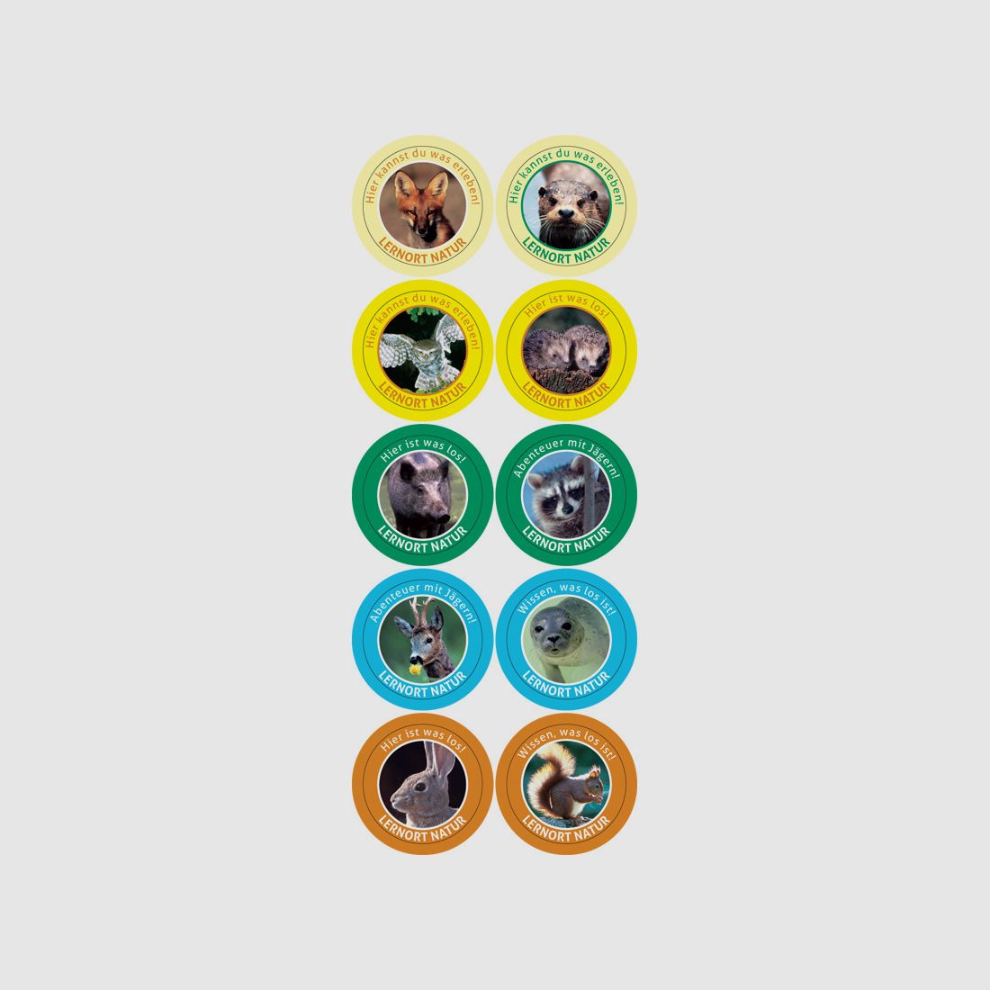 Lernort Natur-Buttons (100 Stück)