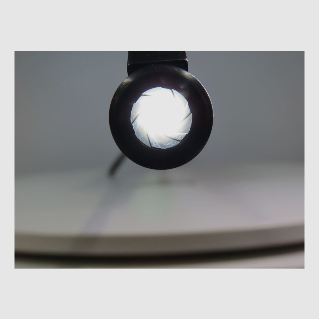 Heym SR21 incl. Zeiss Conquest V4!