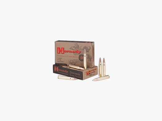 BOX MIT 20 PATRONEN HORNADY 458 LOTT 500 GRS DGS