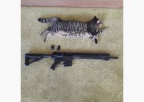 Like new - Sig Sauer 716 G2 Patrol with Geissele trigger and Magpul STR stock