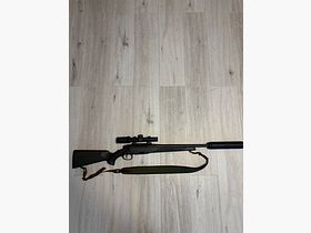 Steyr Arms SM12 SX
