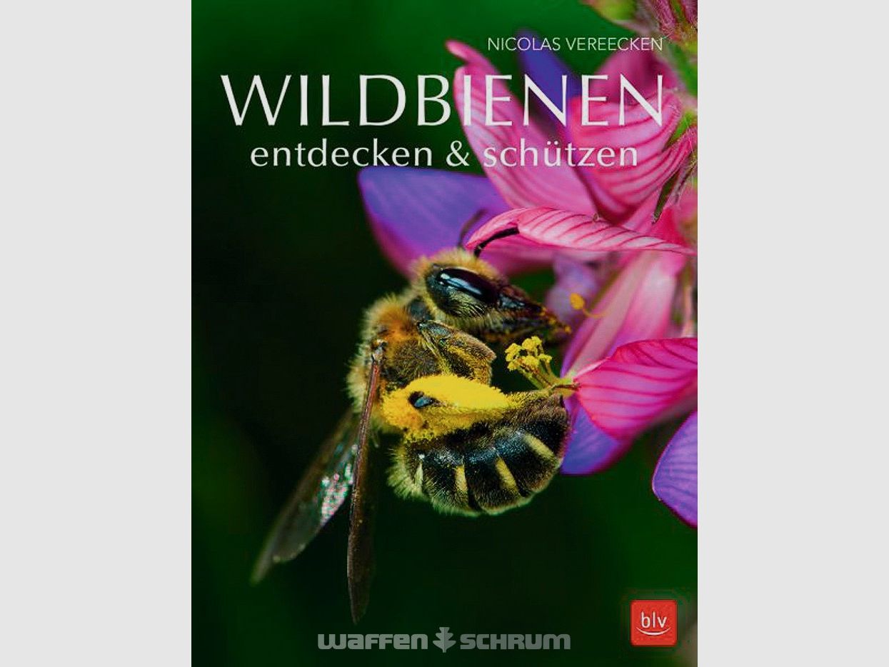 Gräfe & Unzer Discovering & Protecting Wild Bees