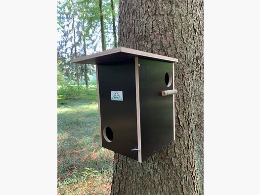 Eichhörnchenkobel