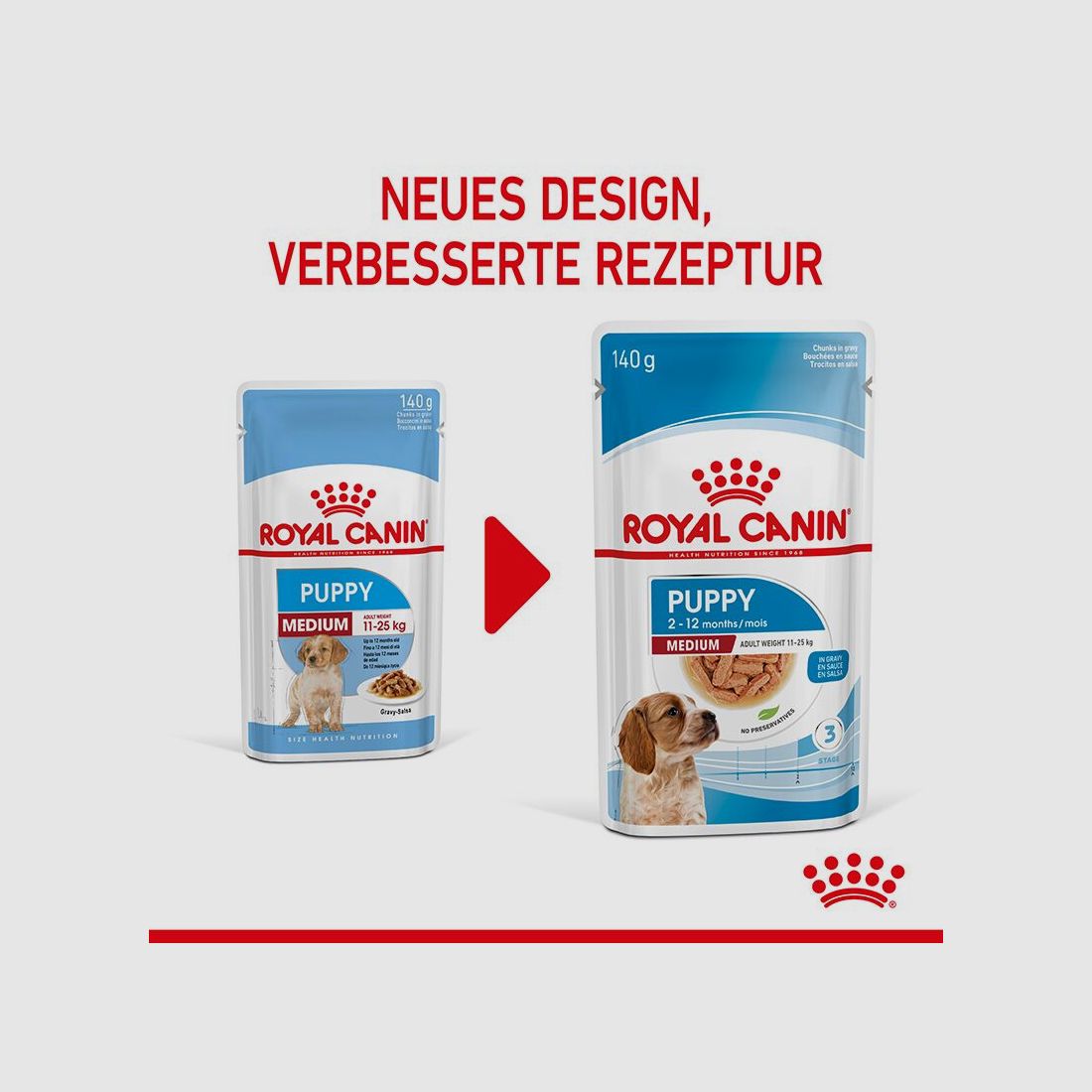 ROYAL CANIN Mittelgroße Hunde Nassfutter Welpen bis zum 12. Monat 10x140 g