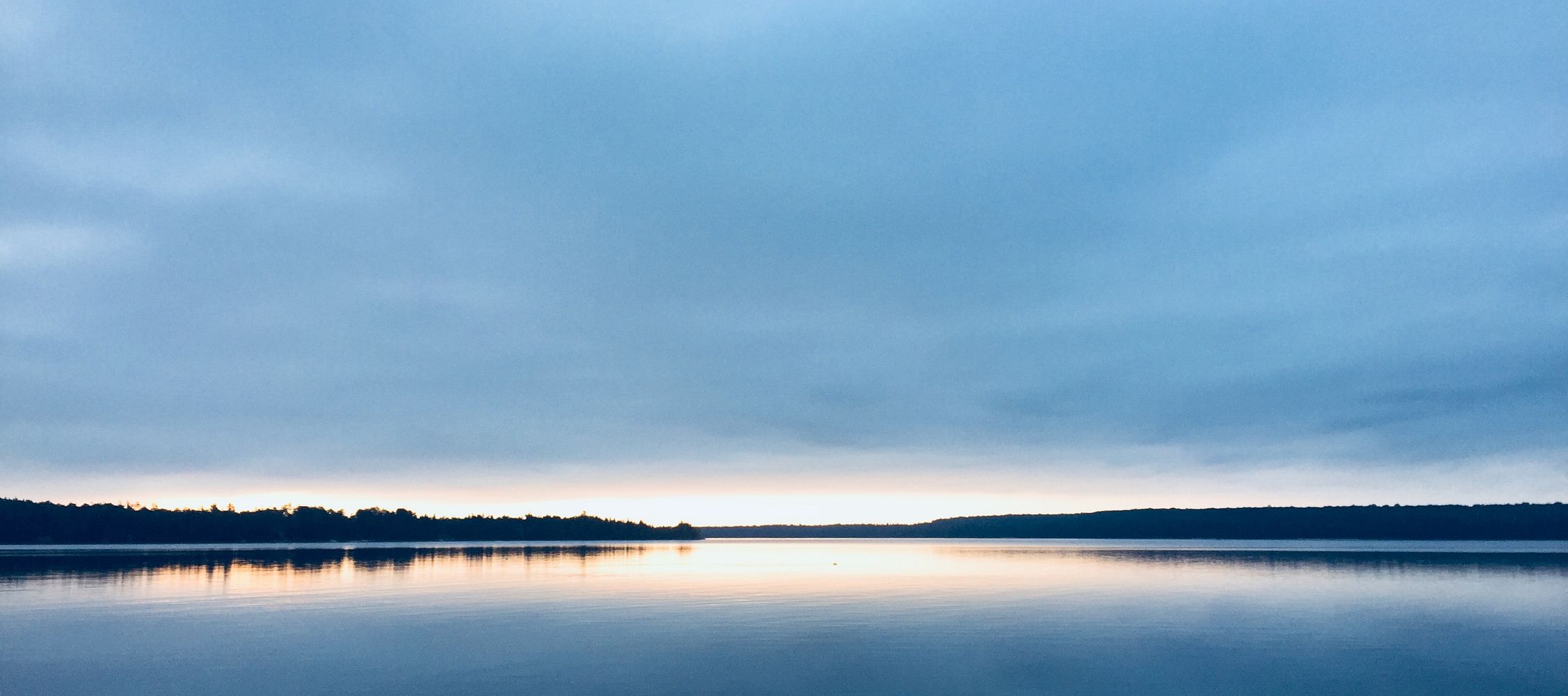 The Best Fishing Books for Beginners: Insights from Literature