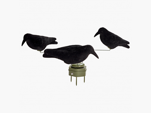 Bearstep Crow Carousel |