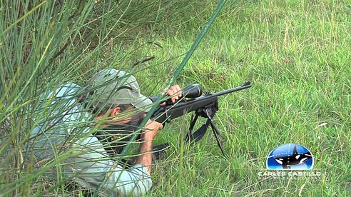 ROEBUCK HUNTING 5.avi