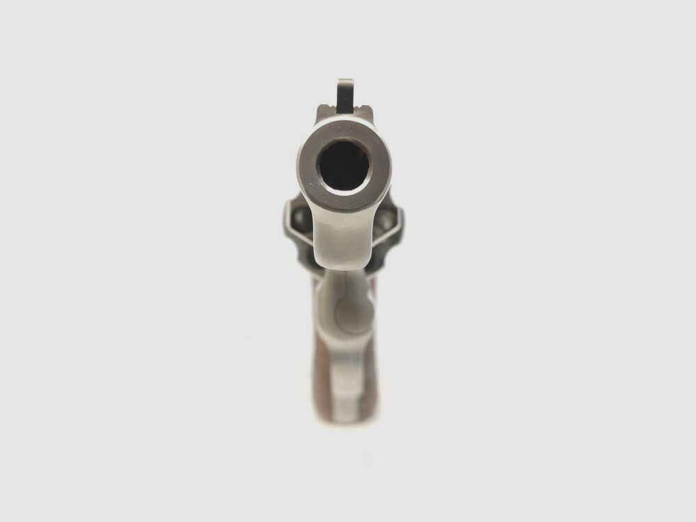 Ruger Speed Six