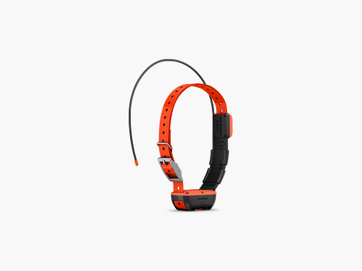 GPS-Halsband Garmin T20F