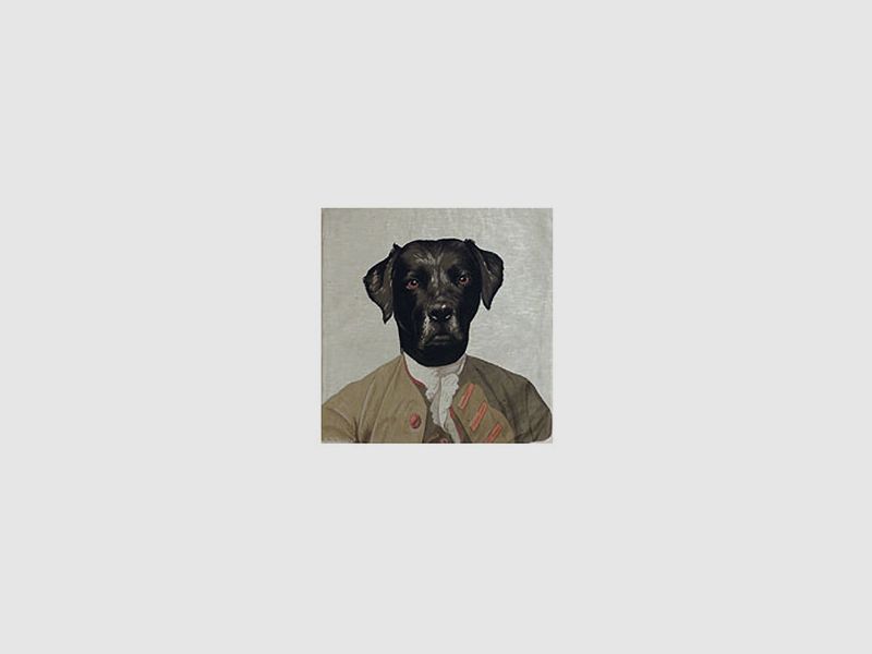 Lovergreen Kissen Motiv Kissen bekleideter Hund Nr.4