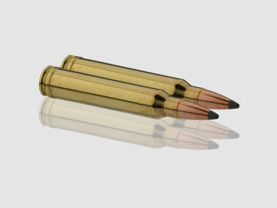 Balles Sologne Nosler Partition, image 2 sur 6
