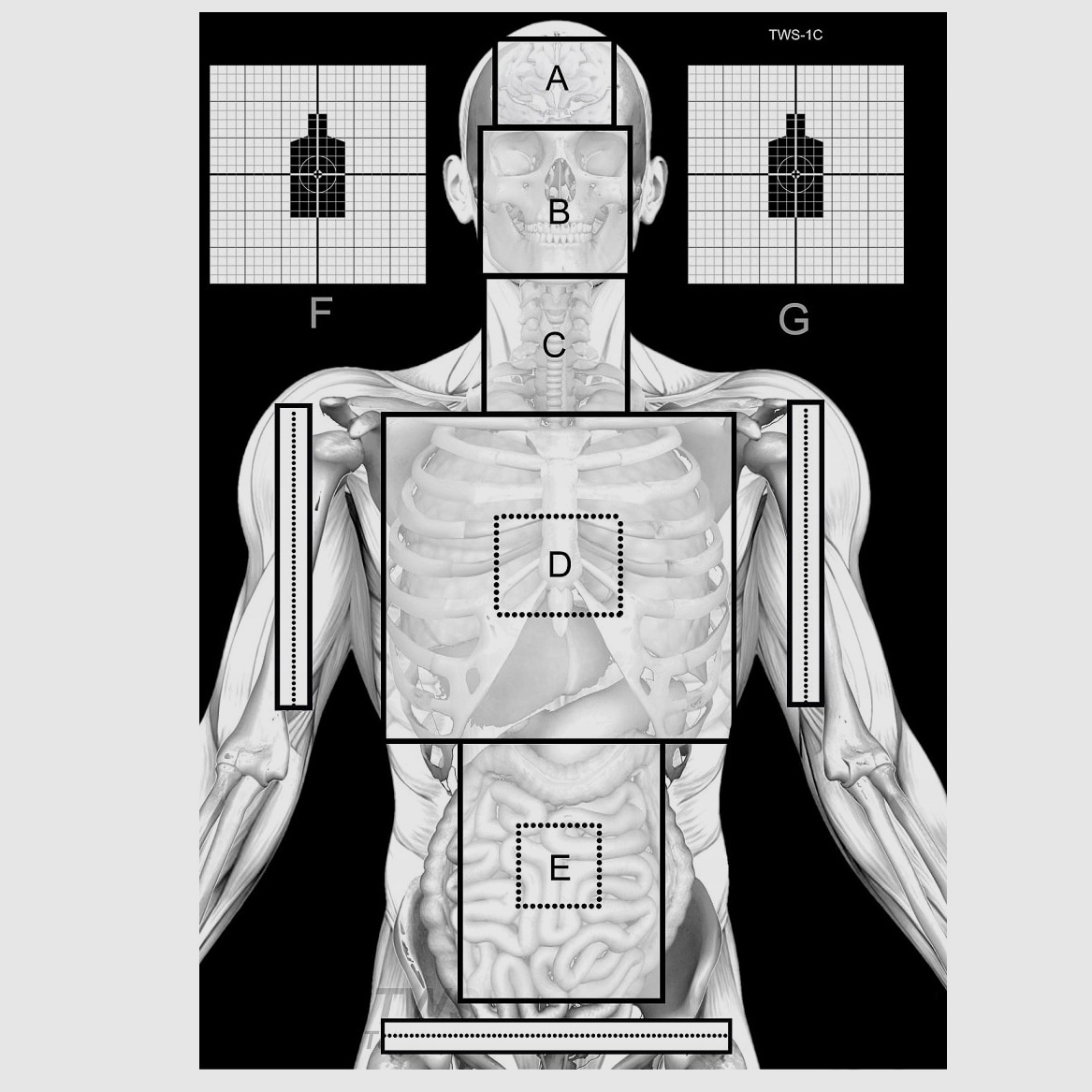 Silhouette Schießscheibe TWS 1C, 10stk.
