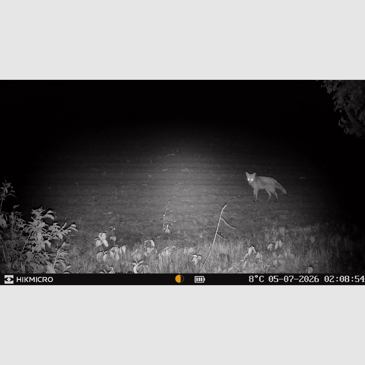 HIKMicro caméra de chasse T16 avec support, image 12 sur 12