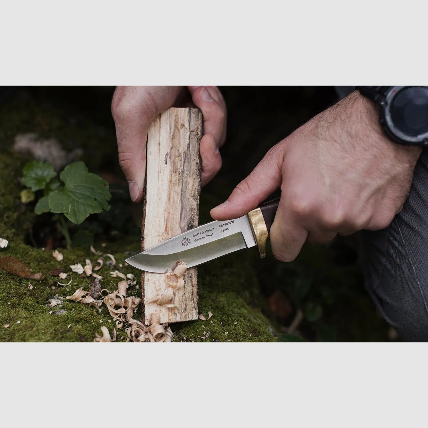 Puma SGB elk hunter, Jacaranda-Holz