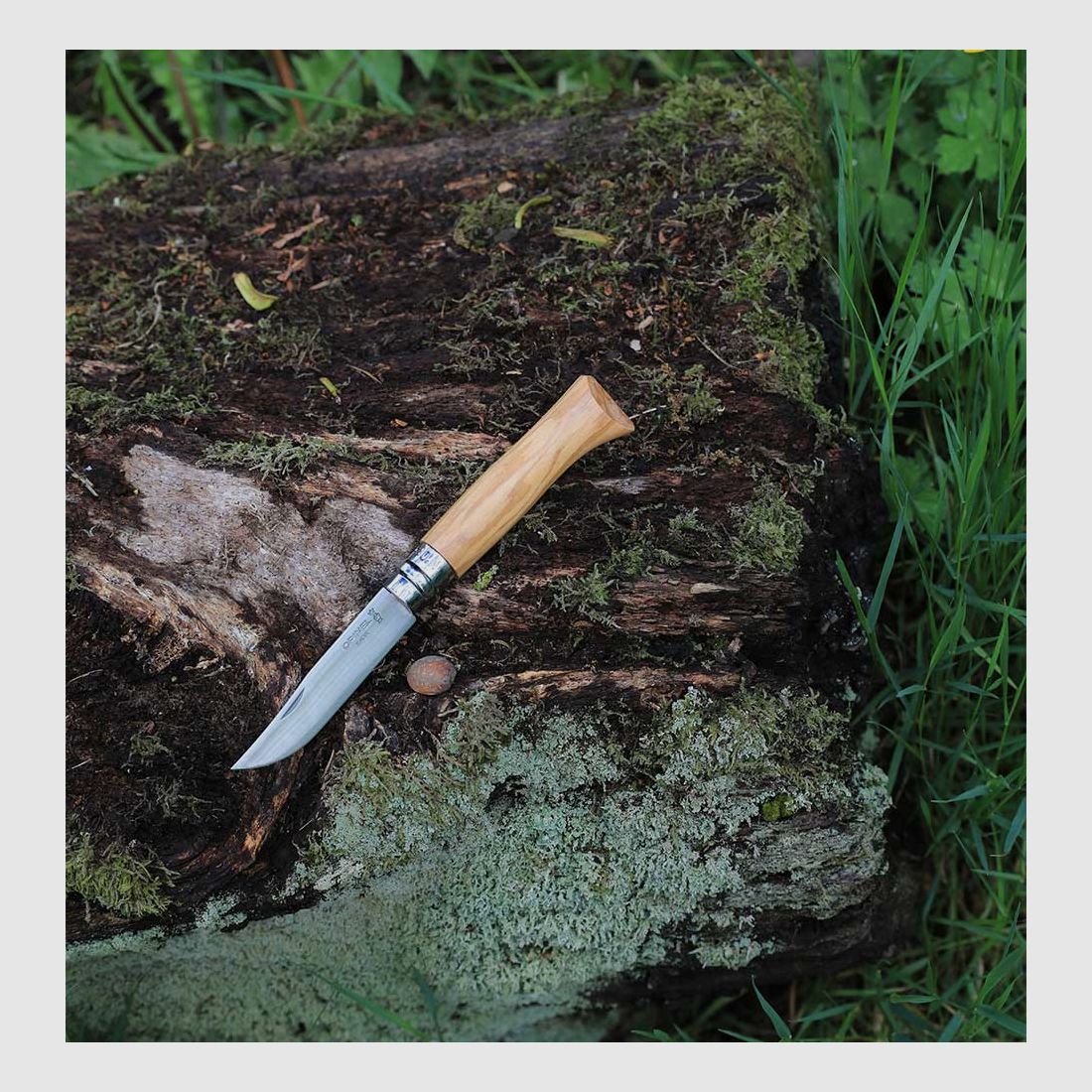 OPINEL OLIVIER N°9, afbeelding 2 van 4